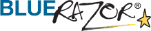 Blue Razor Domains LLC